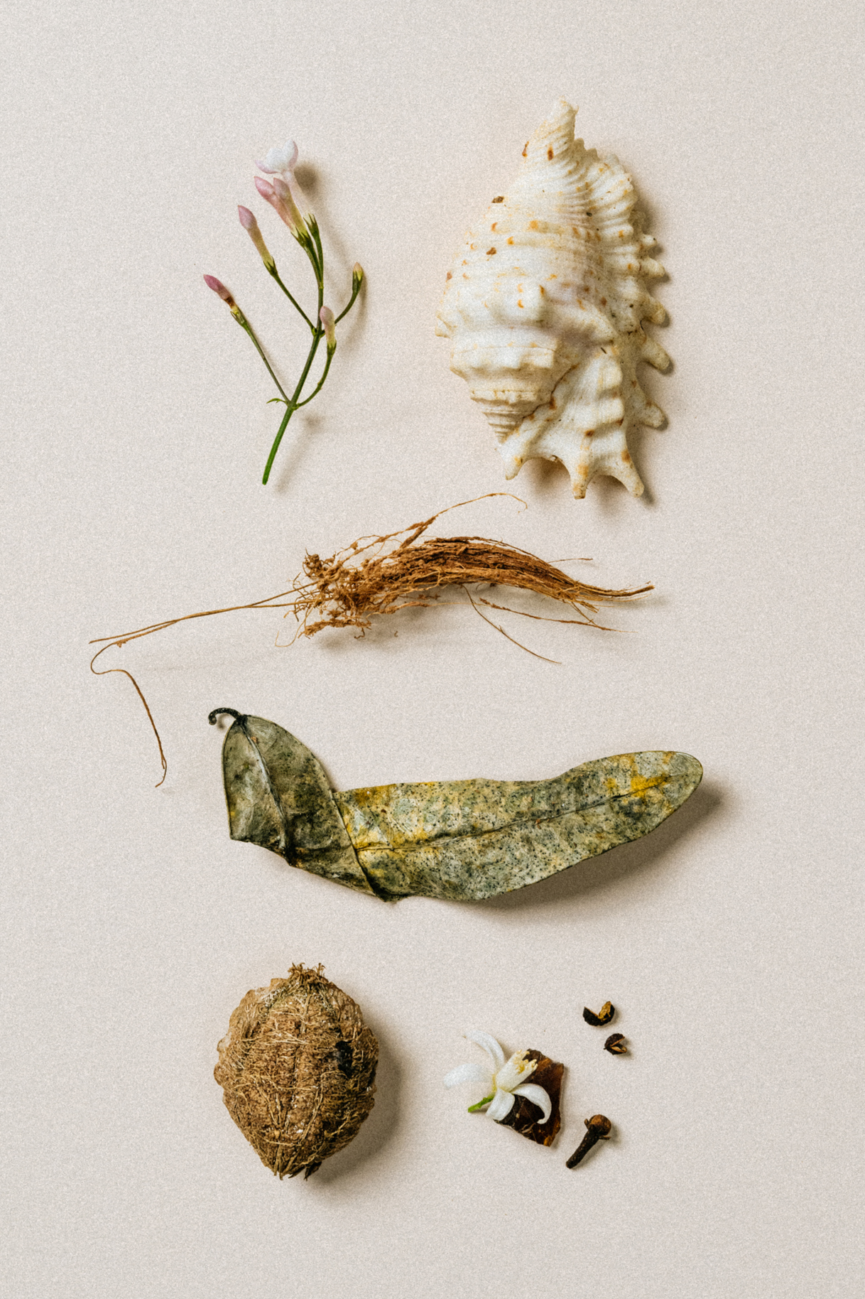 Studio Quotidien - Set design - Photos Produits - Voyage à Rodrigues